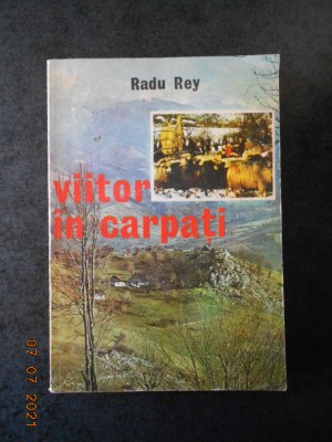 RADU REY - VIITOR IN CARPATI foto