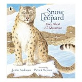 Snow Leopard Grey Ghost of the Mountain