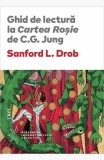 Ghid de lectura Cartea Rosie C.G. Jung Drob L. Sanford Paperback