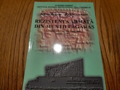 REZISTENTA ARMATA DIN MUNTII FAGARAS - Grupul Ion Gavrila-Ogoranu -Adrian Brisca