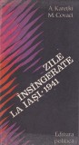 A. Karetki, M. Covaci - Zile insangerate la Iasi 28-30 iunie 1941