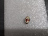 Insigna AC MILAN