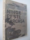 Ninge peste Farcasa - Laurian Ante