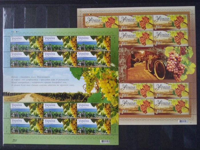 2011-Ukraina-Vinul-2 bl.12 cu vinieta-MNH