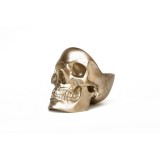 Suport decorativ - Skull Tidy Gold | Suck Uk