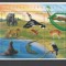 TOGO 1996 FAUNA PASARI SI ANIMALE PROTEJATE