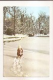 RF196 - Carte Postala - Bucuresti. Iarna in gradina Cismigiu, circulata 1963