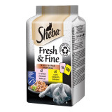 Sheba Fresh &amp;amp; Fine capsule pentru pisici, pui și somon 6 x 50 g