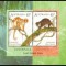Australia 1996 - Fauna, cuscus, colita neuzata