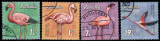 Romania 2021, Flamingo, stampilat (CTO), Michel 7907-7910