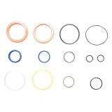 Kit garnituri reparatie cilindru hidraulic Autospeed DISCP69, set 13 piese