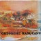 Gheorghe Raducanu (Album)