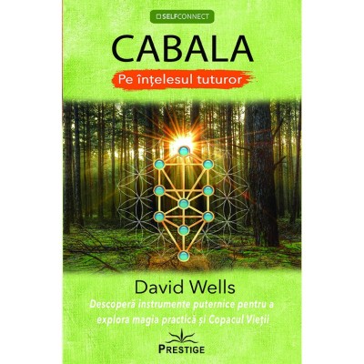 CABALA - Pe intelesul tuturor - David Wells foto