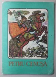 PETRU CENUSA - BASM POPULAR ROMANESC , coperta si ilustratii de RONY NOEL , 1973