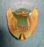 Insigna aniversara Aviatie Romania Timisoara 50 ani 1935 1985