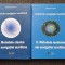 TRATAT DE NAVIGATIE MARITIMA - Stelian Cojocaru (2 volume)