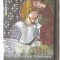 DVD: &quot;Pictura gotica in Transilvania&quot;, Film documentar DVD romana - engleza, nou, in tipla