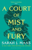 A Court of Mist and Fury. A Court of Thorns and Roses #2 - Sarah J. Maas