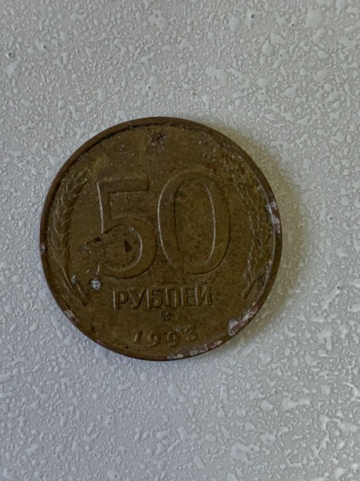 Moneda 50 RUBLE - aluminiu-bronz - 1993 - Rusia - (352)