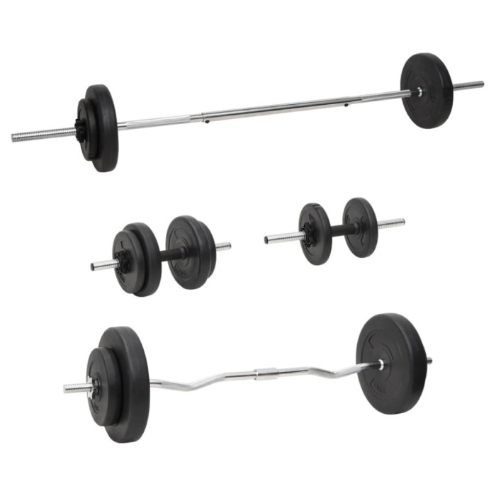 vidaXL Haltă și gantere cu plăci de greutate, 60 kg 3145027
