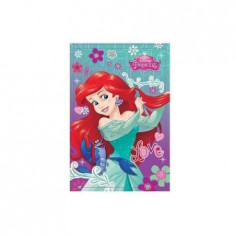 Blocnotes A7 cu Disney Princess, Be True foto