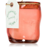 Wax Design Recycled Glass Rosa &amp; Cactus lum&acirc;nare parfumată 10 cm