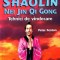 Peter Fenton - Shaolin Nei Jin Qi Gong. Tehnici de vindecare