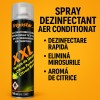 Spray Dezinfectare Aer Condiționat &ndash; Aromă Citrice, 750 ml | Curățare Rapidă, Elimină Mirosurile și Bacteriile, Oem