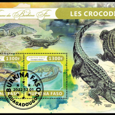 BURKINA FASO 2022 - Fauna africana, Crocodili /colita