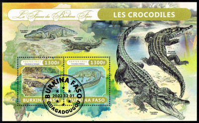 BURKINA FASO 2022 - Fauna africana, Crocodili /colita foto