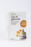 CEAI DE GALBENELE 40DZ