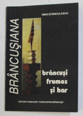 BRANCUSI FRUMOS SI HAR , INTAIA CARTE de NINA STANCULESCU , 1997 DEDICATIE* foto