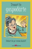 Trucuri &icirc;n gospodărie - Paperback brosat - Lili Dănilescu - Sian Books