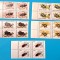 TIMBRE ROM&Acirc;NIA LP 1404/1996 INSECTE I (uzuale) -Bloc de timbre -MNH