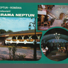 CPIB 19151 CARTE POSTALA - NEPTUN. RESTAURANT CRAMA NEPTUN, MOZAIC