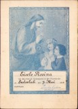 A784 Certificat religios șvab, 1950, Zădăreni, Arad