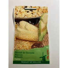 Seminte Porumb De Floricele Popcorn Peppy F1 3 g.