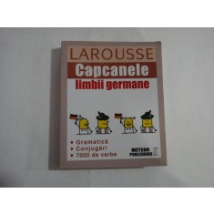 LAROUSSE - CAPCANELE LIMBII GERMANE - GRAMATICA, CONJUGARI, 7000 DE VERBE