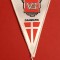 Fanion fotbal - VEJLE BK (Danemarca)
