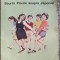 Scurta privire asupra Japoniei (12 pagini) si Mini-information book about Japan