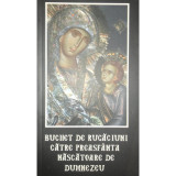 Buchet de rugăciuni către Preasf&acirc;nta Născătoare de Dumnezeu (editia 2012)