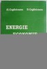 Energie Economie Ecologie - Al. Cogalniceanu, D. Cogalniceanu - Carte Afaceri, Economie