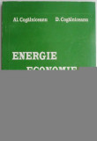 Energie. Economie. Ecologie &ndash; Al. Cogalniceanu, D. Cogalniceanu