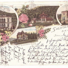 965 - SINAIA, Prahova, Litho, Romania - old postcard - used - 1899