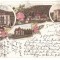 965 - SINAIA, Prahova, Litho, Romania - old postcard - used - 1899