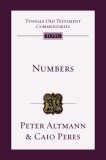 Numbers: An Introduction and Commentary