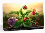 Felicitare - Sunrise strawberries | Anda Ansheen