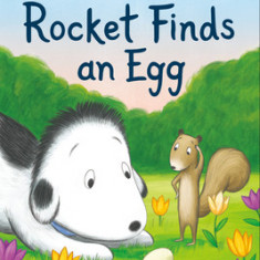 Rocket Finds an Egg