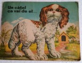 Un catel ca vai de el- Ion Cringuleanu /ilustratii : Albin Stanescu