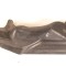 Scut motor dreapta spate MERCEDES-BENZ E W212 2010 OEM: A2126192138 14701531
